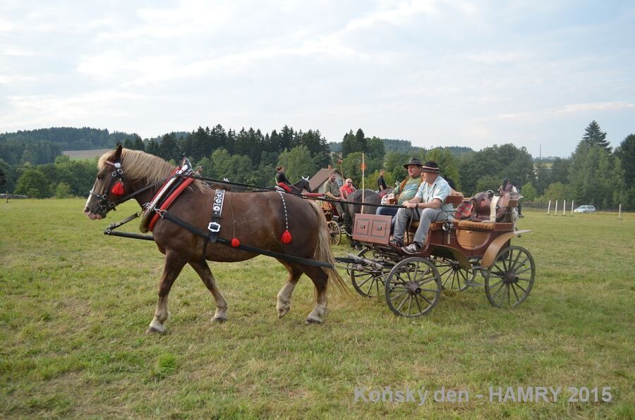 Sdh konsky den 2015
