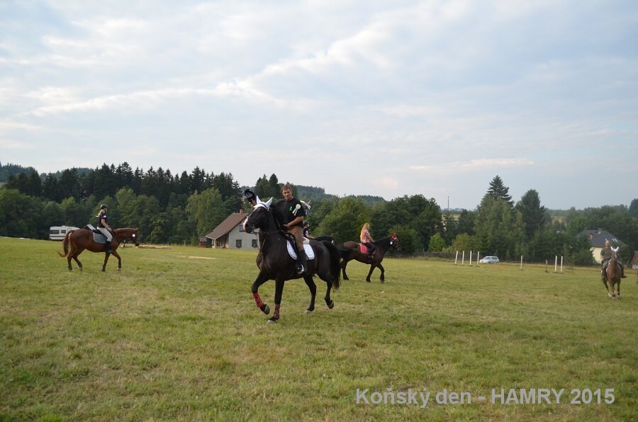 Sdh konsky den 2015