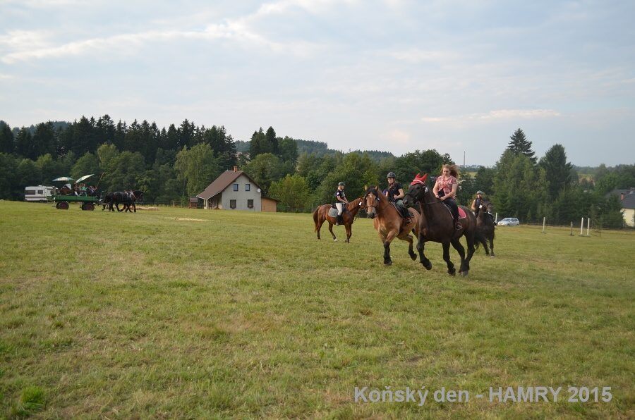 Sdh konsky den 2015