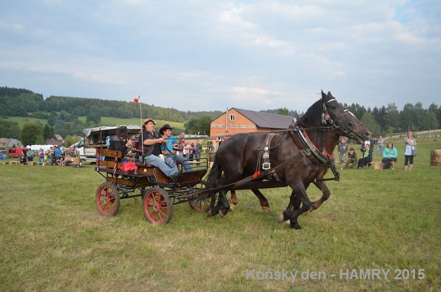 Sdh konsky den 2015