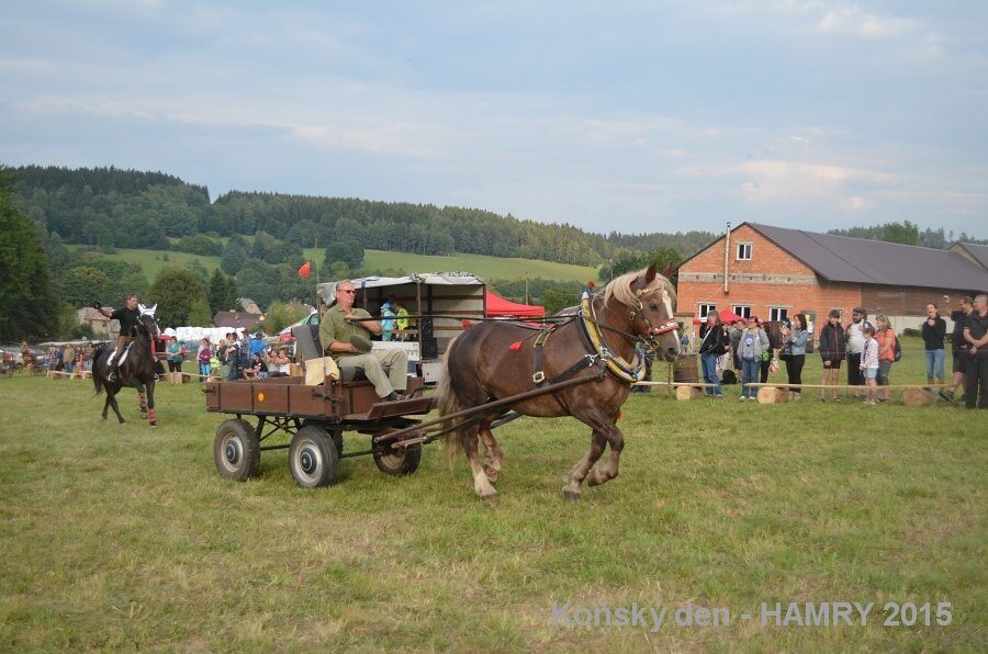 Sdh konsky den 2015
