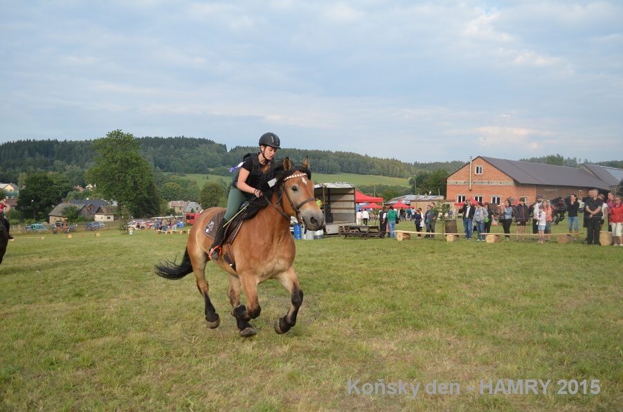 Sdh konsky den 2015
