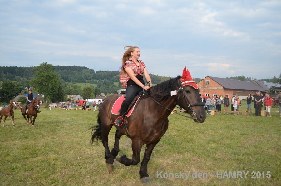 Sdh konsky den 2015