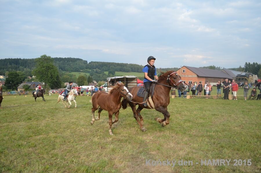 Sdh konsky den 2015