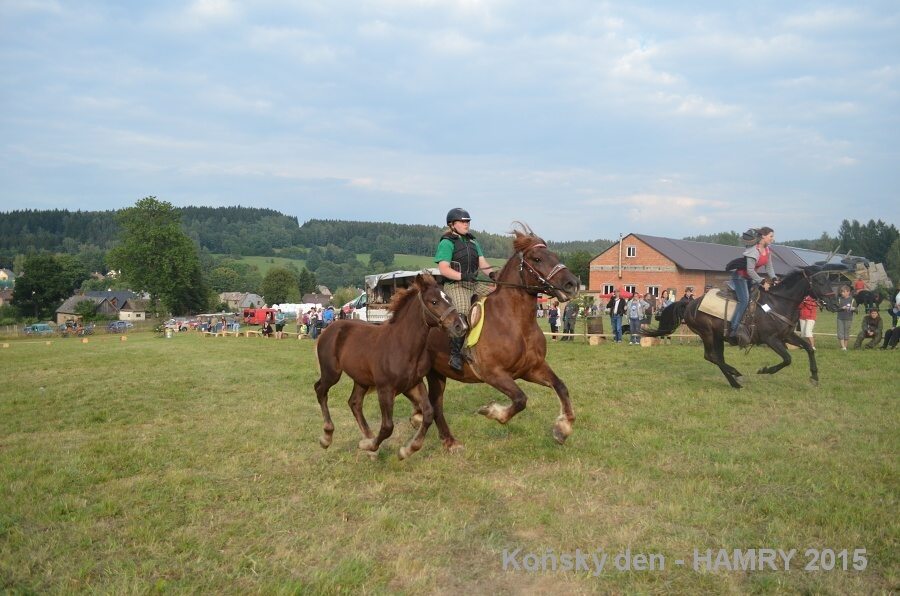 Sdh konsky den 2015