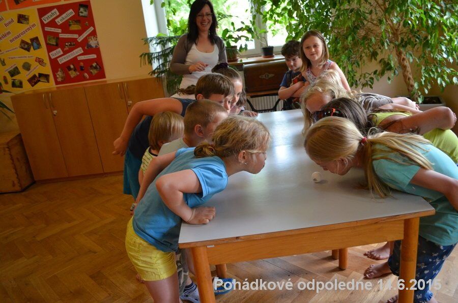 Sdh poh odp kocourkov