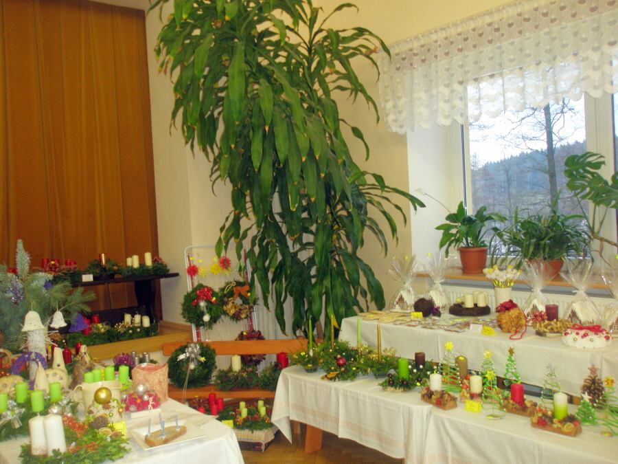 Sdh van vystava 2015