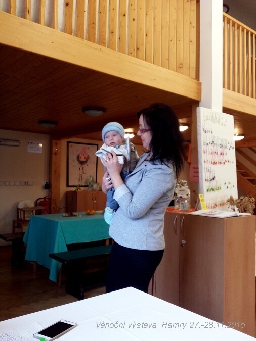 Sdh van vystava 2015