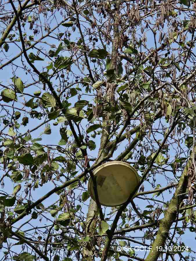 Turnaj disk golf 1. ročník